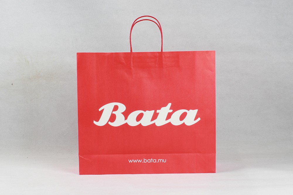 簡(jiǎn)約型牛皮紙袋  Bata