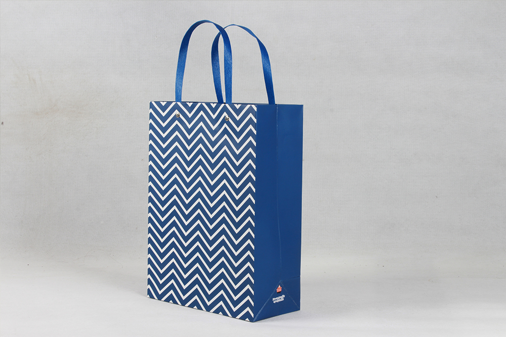 高檔藍(lán)色條紋白卡紙袋 高檔藍(lán)色條紋白卡紙袋