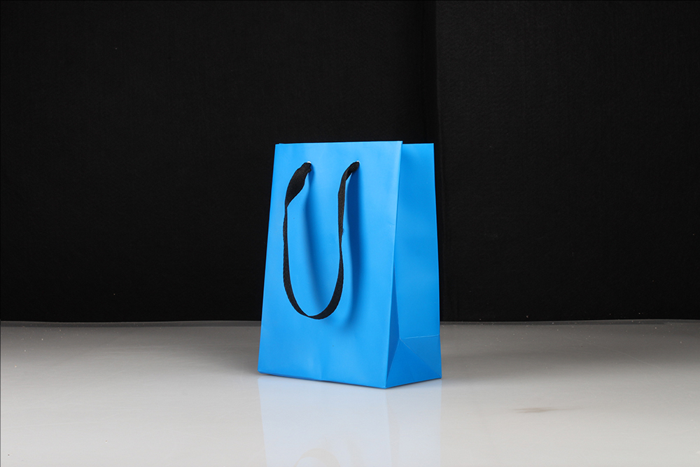 中號簡約型藍色白卡紙袋 中號簡約型藍色白卡紙袋