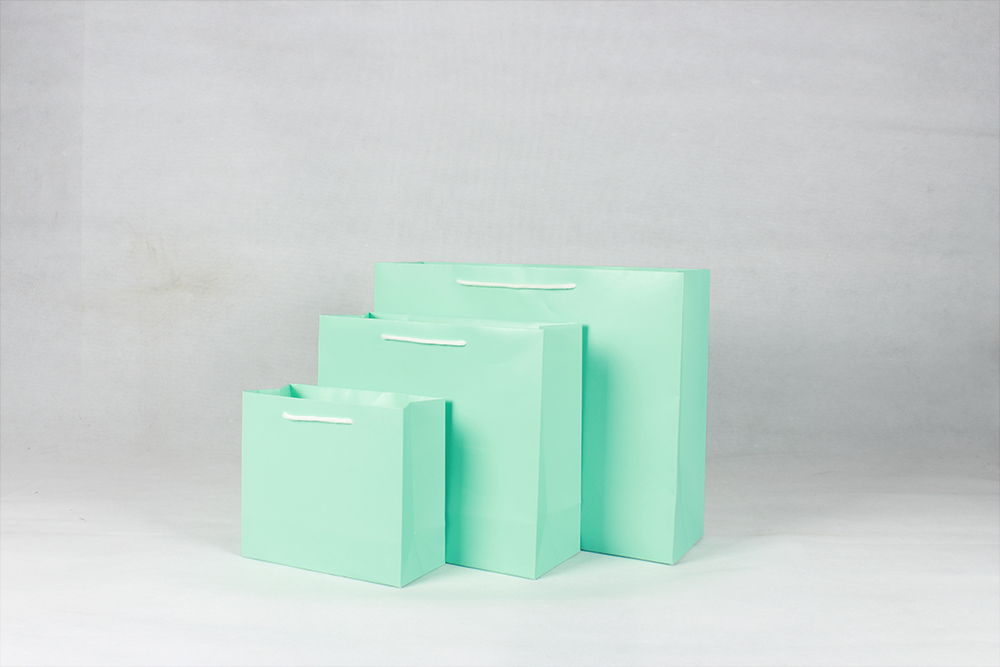 時尚橫版白卡淺綠禮品紙袋 時尚橫版白卡淺綠禮品紙袋