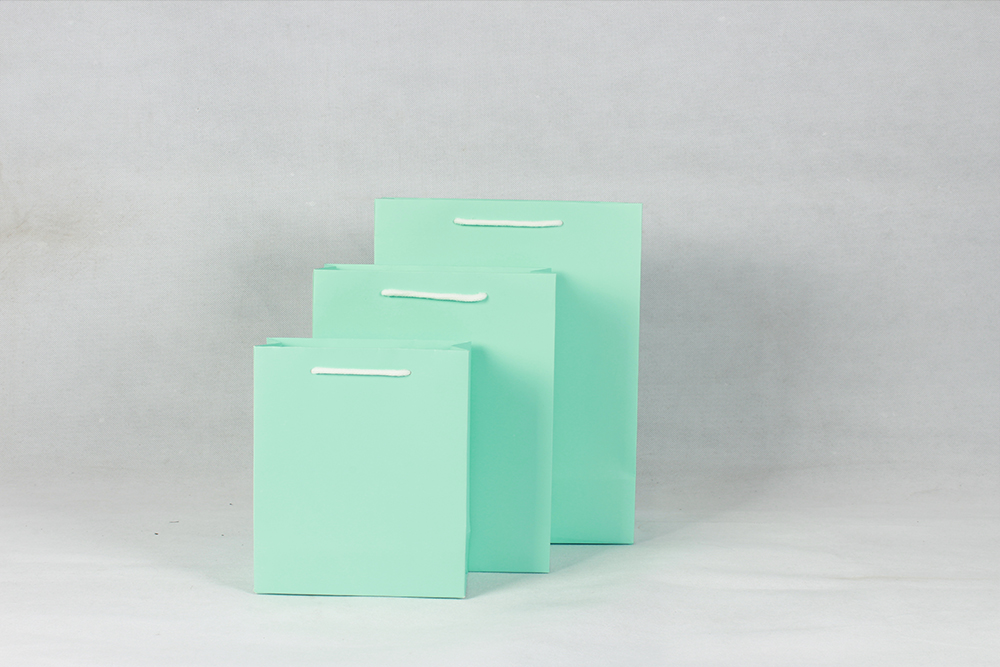 時(shí)尚淺綠色白卡禮品紙袋 時(shí)尚淺綠色白卡禮品紙袋