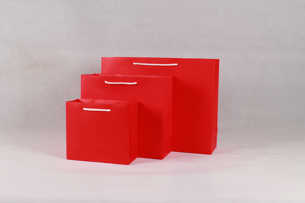 時(shí)尚紅色白卡禮品紙袋 時(shí)尚紅色白卡禮品紙袋