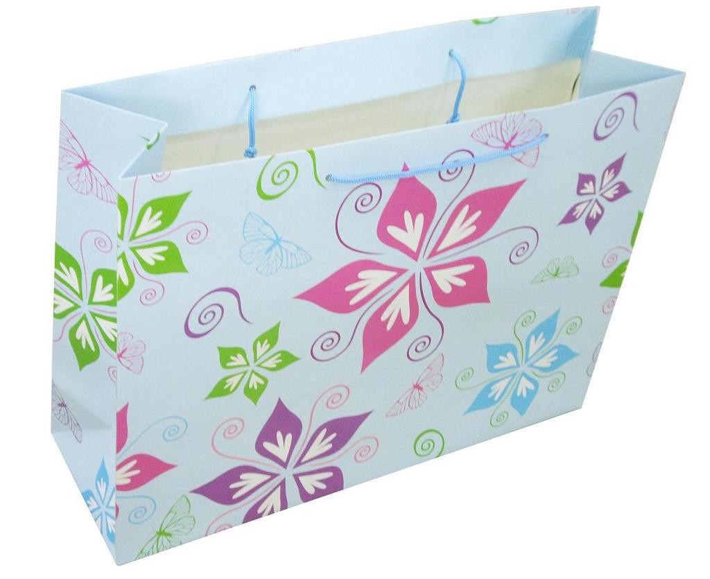 怎么區(qū)分牛皮紙的腹膜紙袋和不腹膜紙袋？