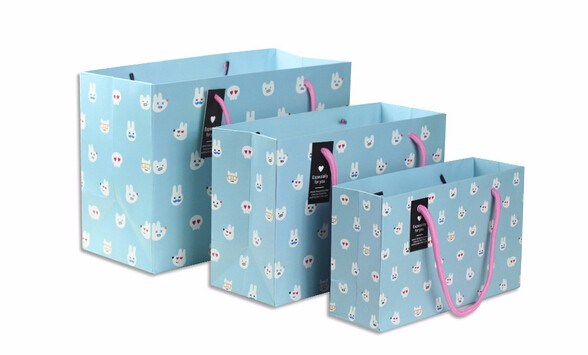 禮品紙袋定制須知：除了手提紙袋還有別的！